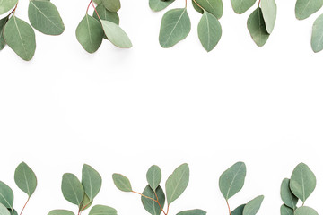 Obraz premium border frame made of branches eucalyptus isolated on white background. lay flat, top view