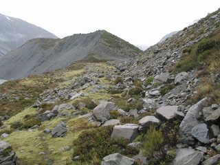 Nwe Zealand.  Milford Sound Nature. South Island