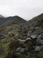 Nwe Zealand.  Milford Sound Nature. South Island