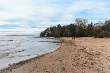 Baltic sea on a cloudy day, sandy beach