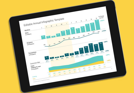 Annual Report Infographic Layout