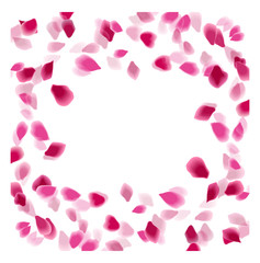 Pink petals abstract background