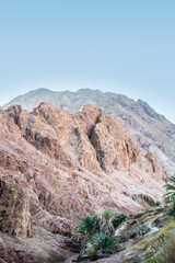 Fototapeta na wymiar oasis in Dahab Sinai Egypt