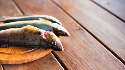 Banner catch of fresh sea fish lies on a cutting Board on a wooden table in the kitchen Selective...