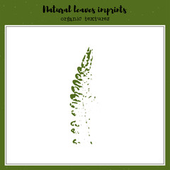 Vector leaf imprint