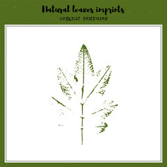 Vector leaf imprint