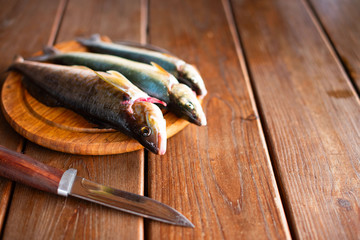 The catch of fresh sea fish lies on a cutting Board on a wooden table in the kitchen Selective...