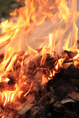 焚き火