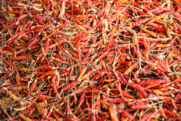 dry hot chillis background / red chilli padi bird eye chili thai pepper