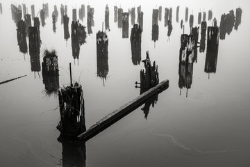 Old Wharf on the Willapa No. 1, Raymond, Washington, 2018