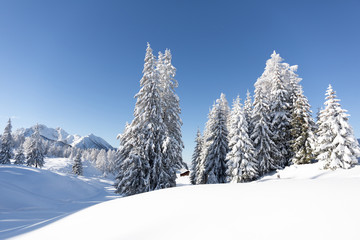 Winter in mountains. Landscape with snowy forest and traditional alpine hut. Sunny frosty weather with clear blue sky