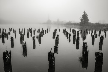 Old Wharf on the Willapa No. 2, Raymond, Washington, 2018