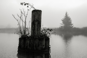 Old Wharf on the Willapa No. 6, Raymond, Washington, 2018