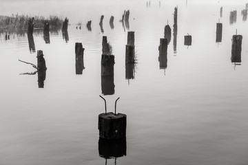 Old Wharf on the Willapa No. 9, Raymond, Washington, 2018