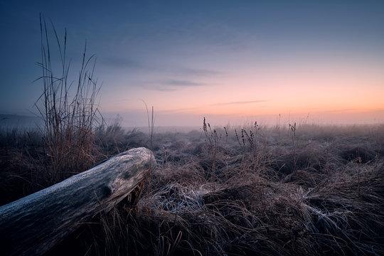 a field with winter frost at sunrise with a stock in the foreground and beautiful clouds in the background