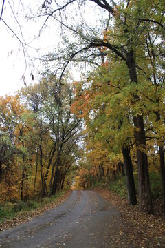 Pere Marquette State Park In Grafton Illinois