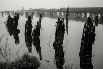Old Wharf on the Willapa No. 14, Raymond, Washington, 2018