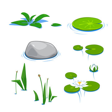 Vector Cute Pond Water Lily, Reed, Cane, Bulrush, Elements Nature Summer