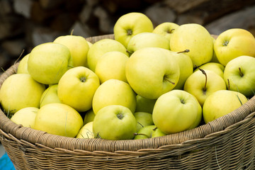 Basket of apples