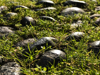 stone in the grass