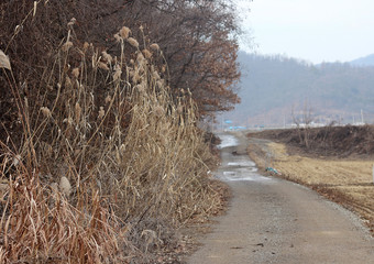 황토길