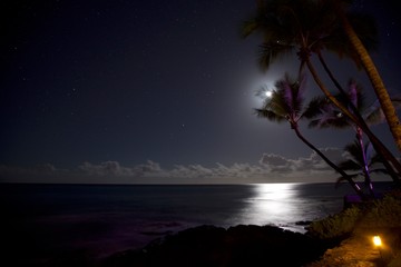Moonlight Starry Night Ocean