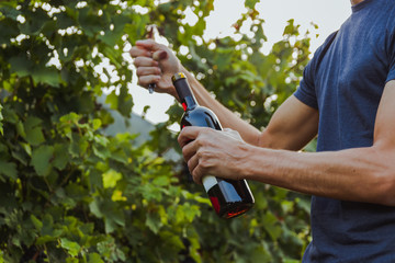 young strong man opening a bottle of red wine in a vineyard during sunset
