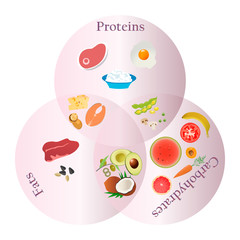 Healthy food vector illustration