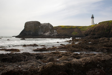 lighthouse on the beach