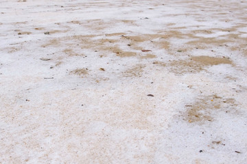 Fototapeta na wymiar Sand beach with snow on the sand close-up view.