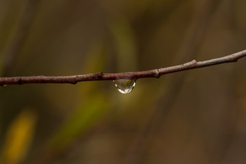 Wassertropfen