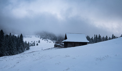 winter in village
