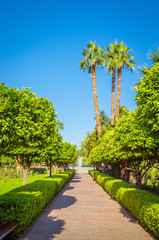 Beautiful park  in old medina  of Marrakesh, Morocco