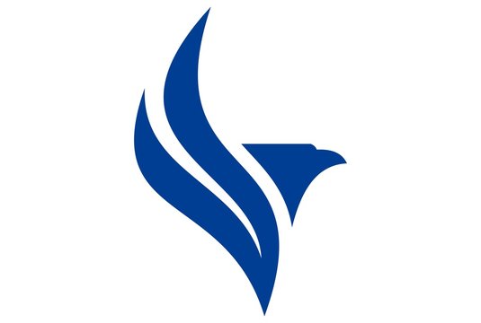 abstract eagle letter v concept logo icon