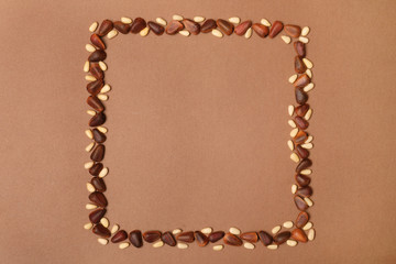 Frame made with pine nuts and space for text on color background, top view