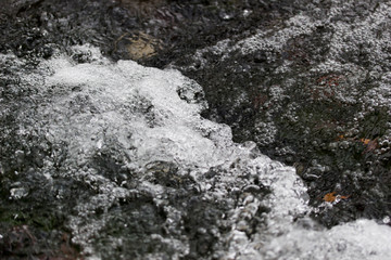 Forest Water Stream Cascading in Plitvice Lakes National Park