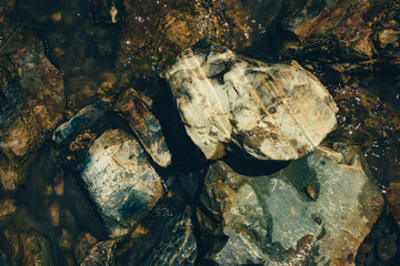 Raw ore on water close-up. Multicolor wet rough stones in sunlight. Textured vivid geological background with pile of rude stones. Natural texture with copy space. Amazing mineral. Piece of rock.