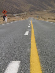 New Zealand.  South Island nature