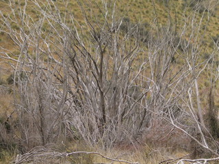 Obraz premium New Zealand. South Island nature