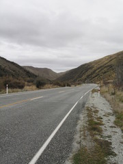 New Zealand.  South Island nature