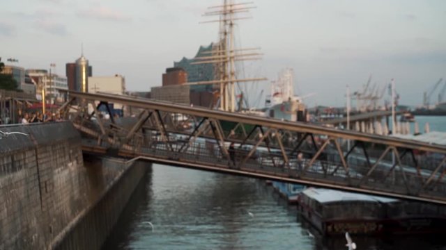 M&radic;&part;wen beim Sonnenuntergang in Hamburg.Aufgenommen mit der Sony A7 III, Zeiss 35mm, 100FPS.