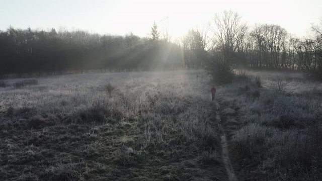 early morning winter landscape with trees and frost-covered bushes, pathway in backlight and sun beams