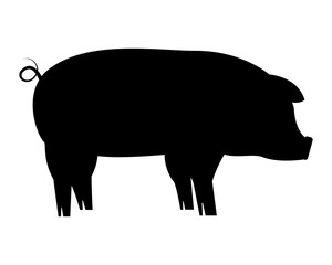 silhouette pig on white background