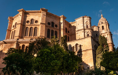 Fototapeta premium Malaga Cathedral
