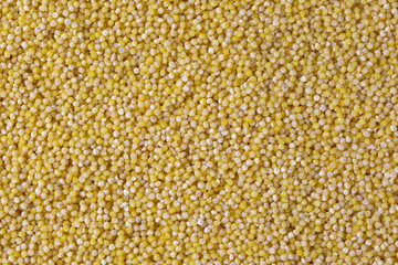 Heap of millet on blue woden background. Top view