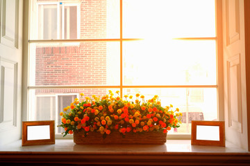 flower vases beside the window in the morning