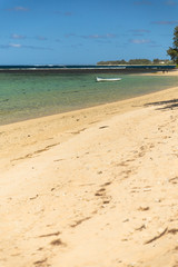 Obraz premium walking beach, mauritius