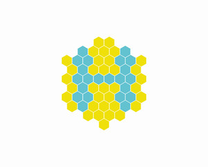 Hexagon and Letter H logo design vector