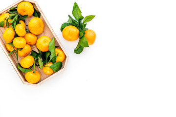 branch of mandarins for New Year and Christmas celebration on white background top view mockup