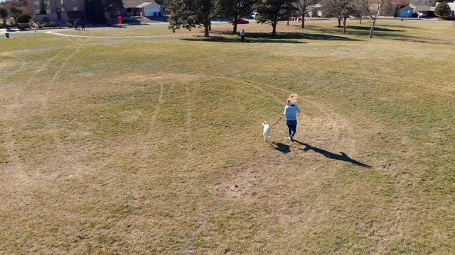 Aerial shot of a girl and white dog playing and running in a park.